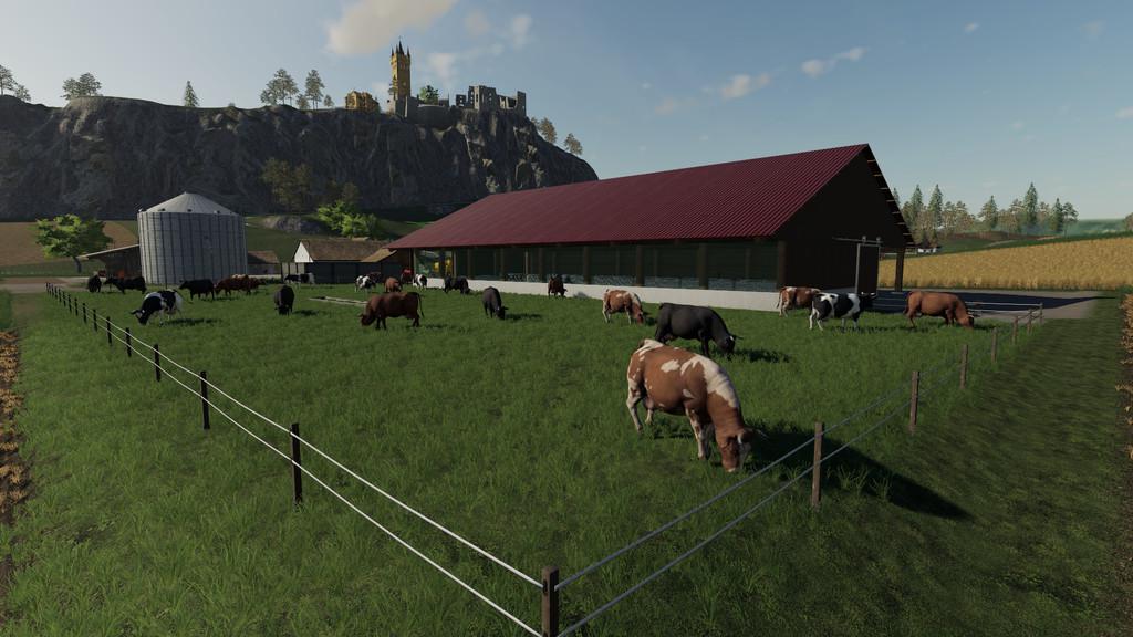 Farming Simulatot 19 Mods. 