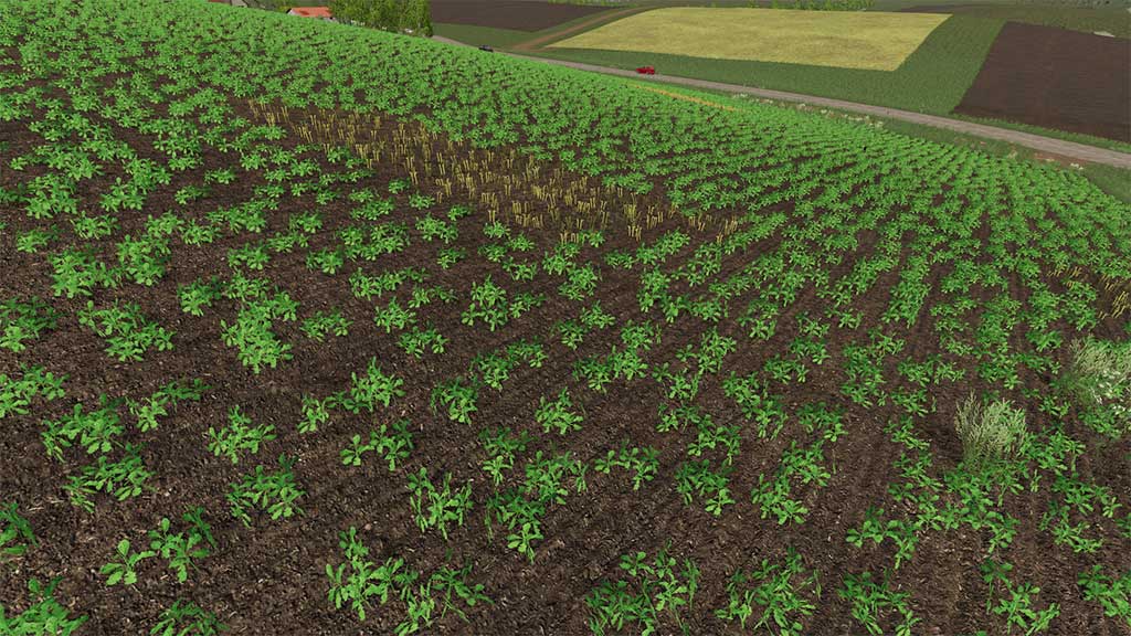 Сезоны 19 - Зерновые культуры Farming Simulator 22 мод FS 19